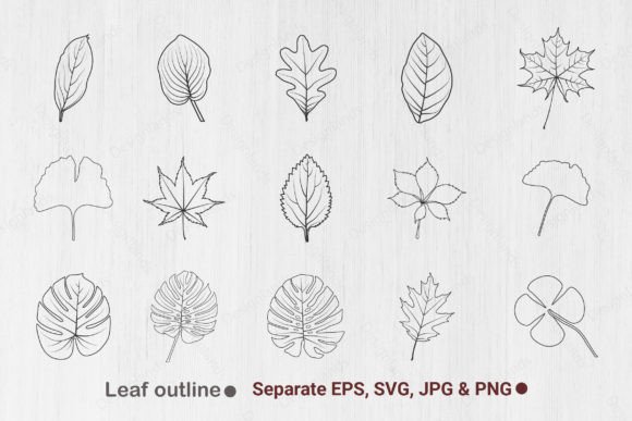 Download Leaf Outline, Leaves Line Art, Leaf Svg - Leaf Collection
