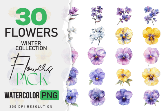 Download Watercolor Winter Flower &amp; Wildlife Pack - Winter Collection