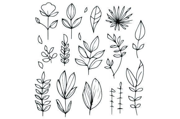 Download Botanical Leaf Line Drawings, Botanical - Leaf Collection